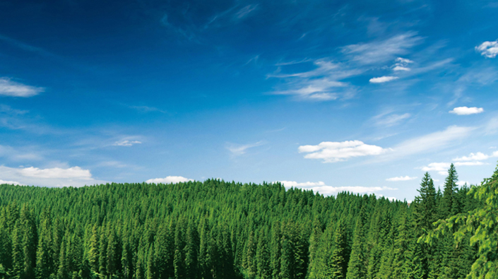 J9���λ�-������Ϸ��һƷ��